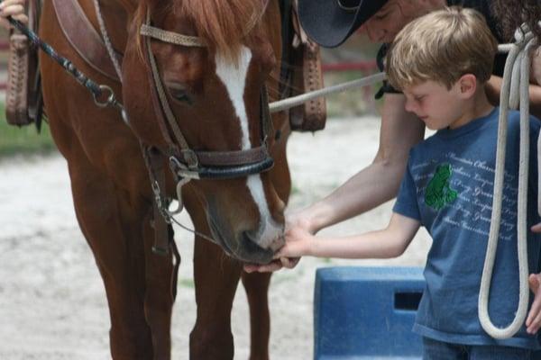 Child Giving Horse a Treat After Horseback Ride