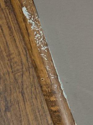 Paint all over the trim on the wood floor