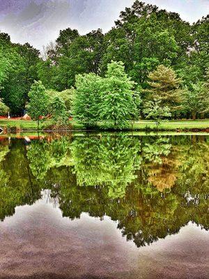 Beautiful reflections on early morning day