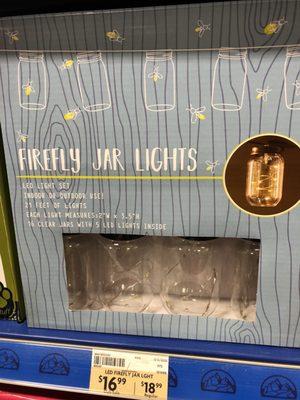 Firefly lights!! Love these!!