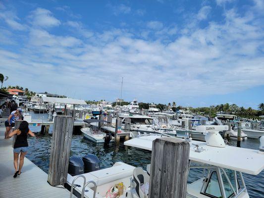 Lighthouse Point Marina