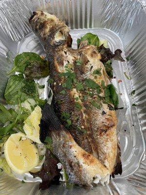 Mediterranean Sea Bass