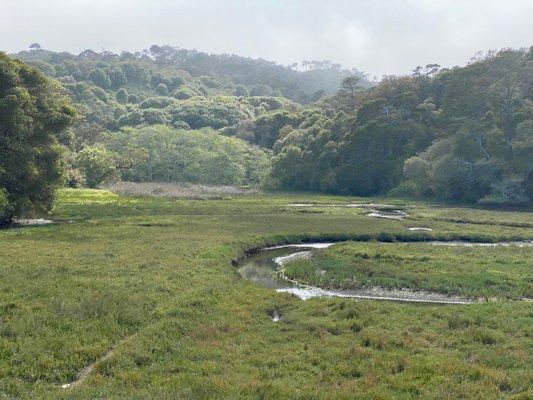 The slough area north of the beach