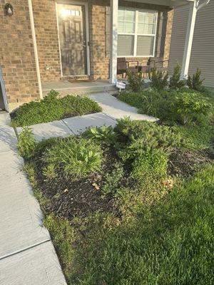 Last shameful picture of a yard that wasn't taking care of.