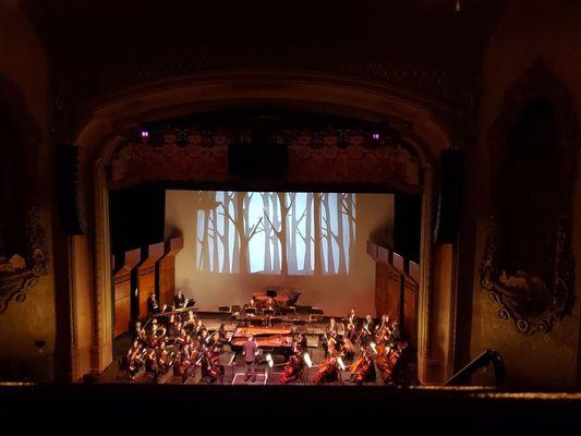 Carnival of the Animals, Balboa Theatre