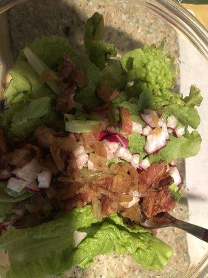 Fresh lettuce and radishes from garden with hot bacon dressing.