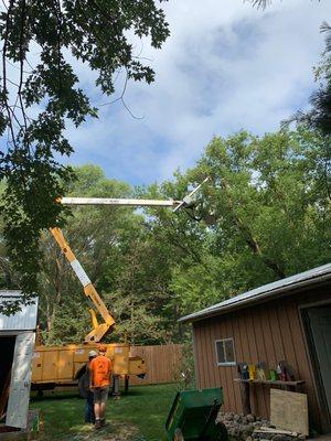 Bucket Truck Lift for Tree Removal