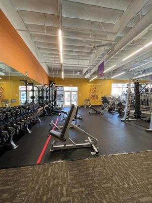 Free weights, racks, leg press, dead lift, hip thrust stations