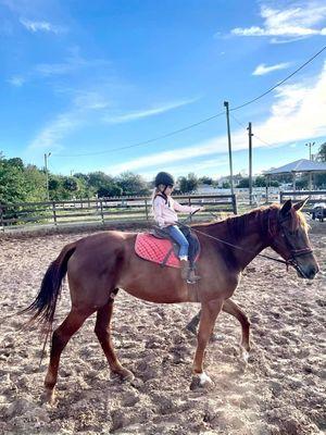 This 6yo bosses this 18 hand horse around. She is so gentle with our littlest of riders