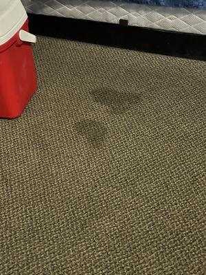 Stains in carpet