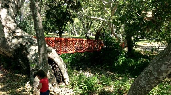 The bridge leading to the park