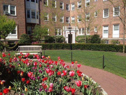 The Highlands at Rye Court yard in spring