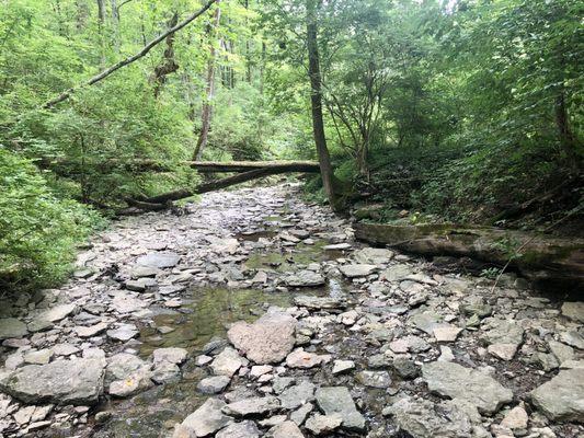 The creek can be pretty dry in some places (late July)