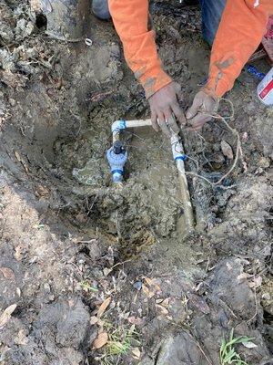 A main line leak and valve replaced do to tree roots growing into them both