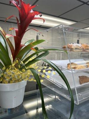 Kosher bakery with non-dairy selections baked fresh daily. Run by friendly and warm family.