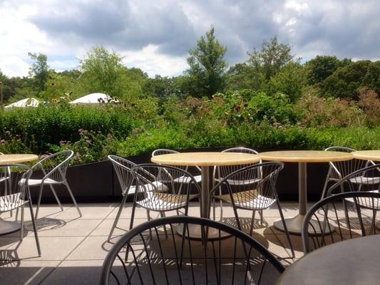 Outside seats and the garden where the chef grows herbs, pumpkins and sunflowers.