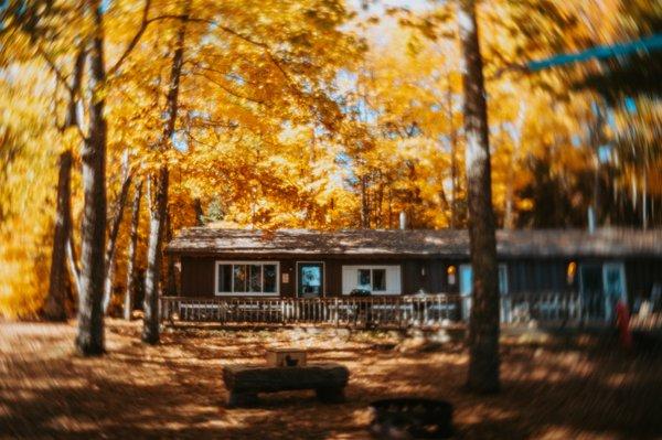 Coadys' Point of View Lake Resort Cabin Rentals and Glamping