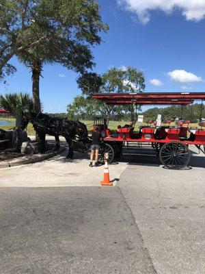 Sea Island Carriage - Beaufort, SC