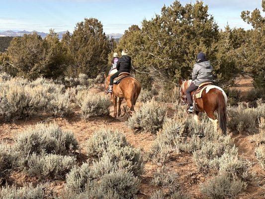 The Juniper Trail