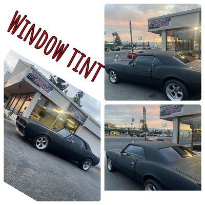 Legacy Window Tint