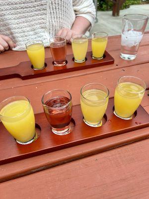 Mimosa flight