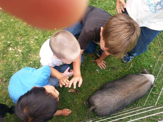 More Petting Zoo Fun!