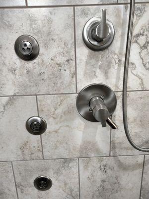 Master shower fixtures