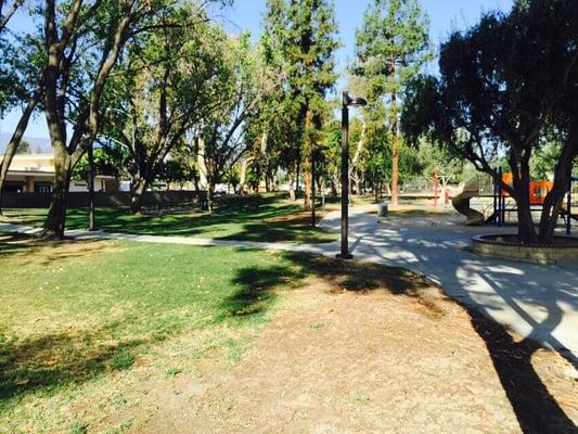 Pathways and patchy grass.