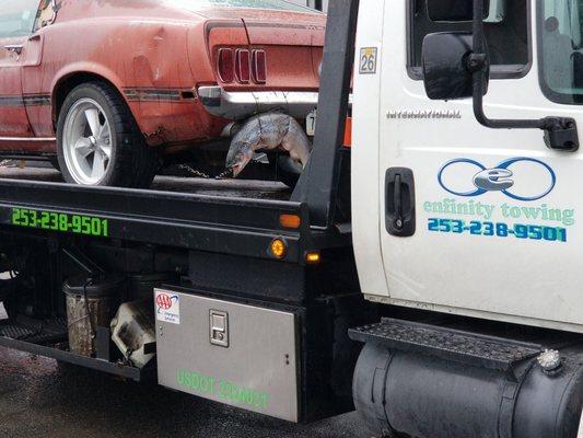 Specialty towing