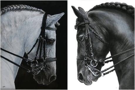 The Double Bridle, used in the upper levels of Dressage