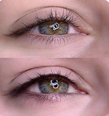 Permanent make up eyeliner