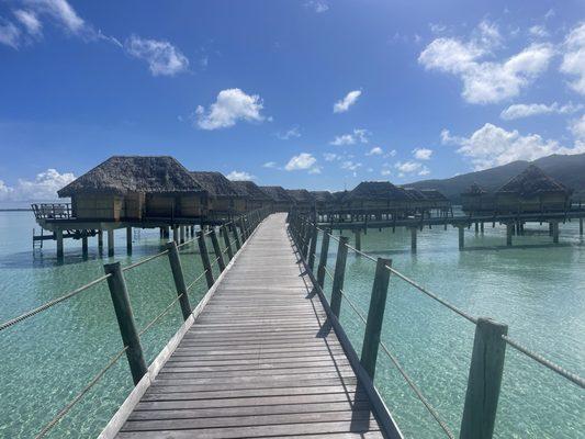 Overwater bungalows