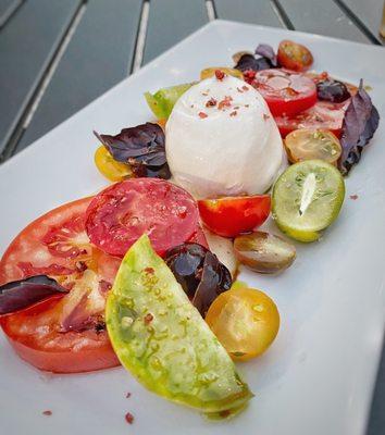 Burrata and heirloom tomatoes with opal basil