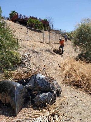 Clean up a hillside