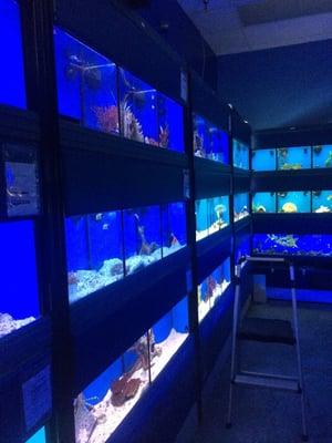 Fish room