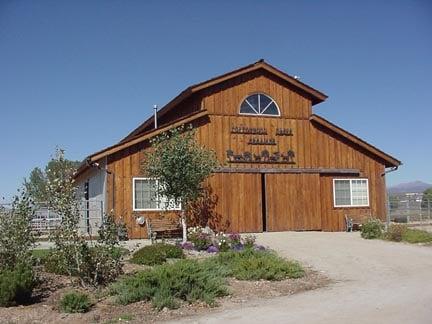 Eight stall barn with attached runs and heated waterers.  Daily turnouts included.