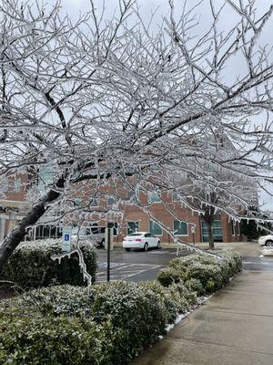 Bon Secours - The Perinatal Center