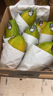 Papayas