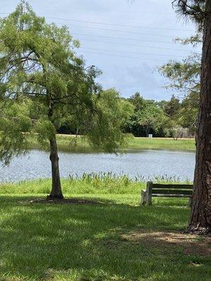 Bench to relax to a lake view