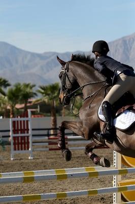 Catherine and CH Enzian at HITS Desert Circuit