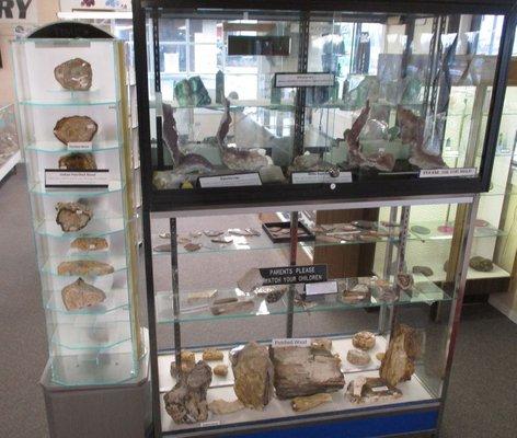 One of several display cases