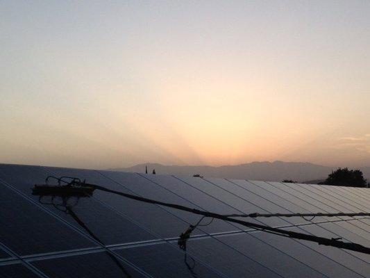 Solar Farm Cleaning