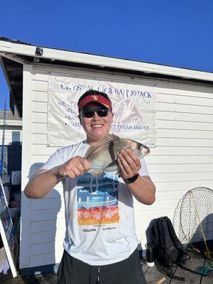 One of our friends we met from the pier and his Sargo!!