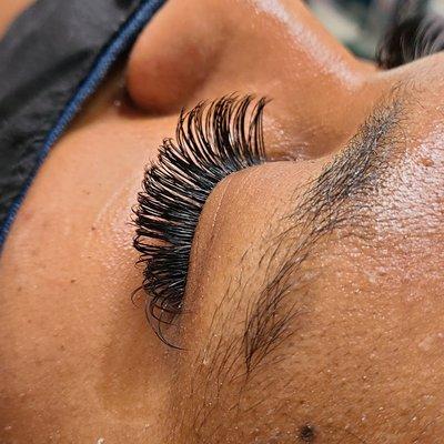 Lashes