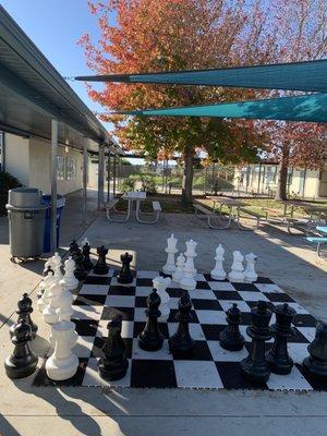 Outdoor chess