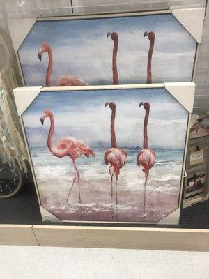 Beautiful flamingos!