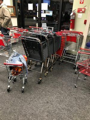 At least they have enough shopping carts!