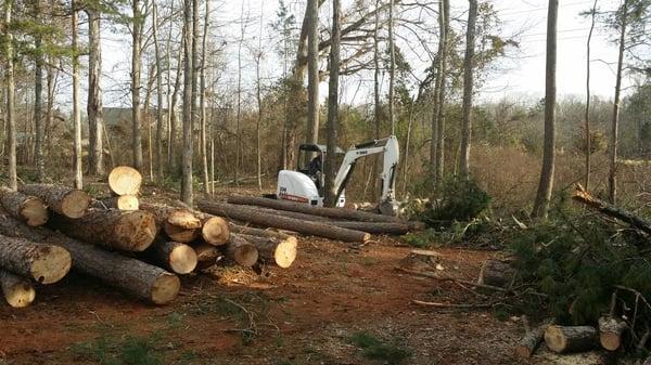 Golden Glove Tree Service