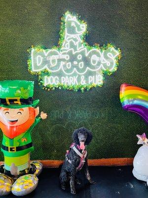 Fun fun fun at Doggos on Wednesday - check out the drink specials and pet all the pups.