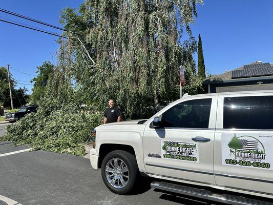 Emergency Tree Service on a Saturday